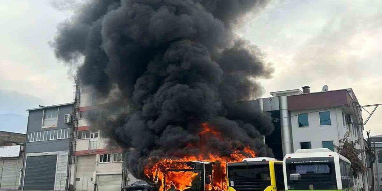 Park halindeki otobüsler cayır cayır yandı