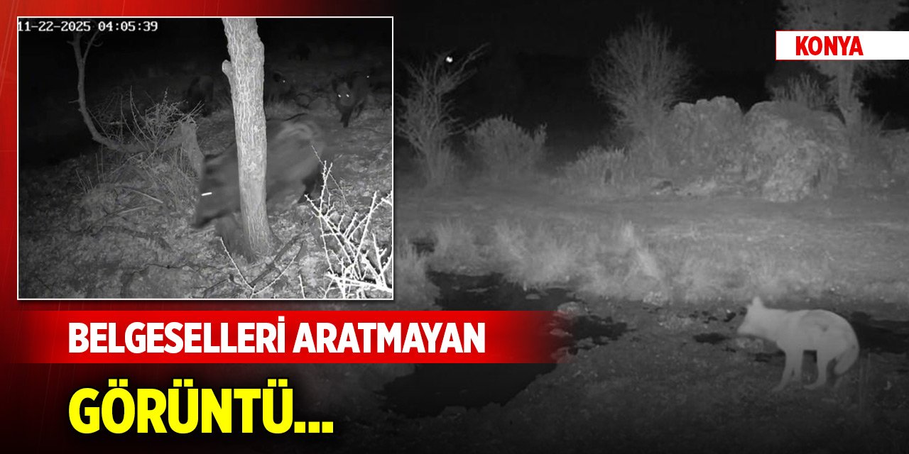 Konya'da belgeselleri aratmayan görüntü...