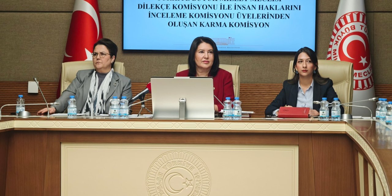 Komisyonda 'İmralı ziyareti' tartışması