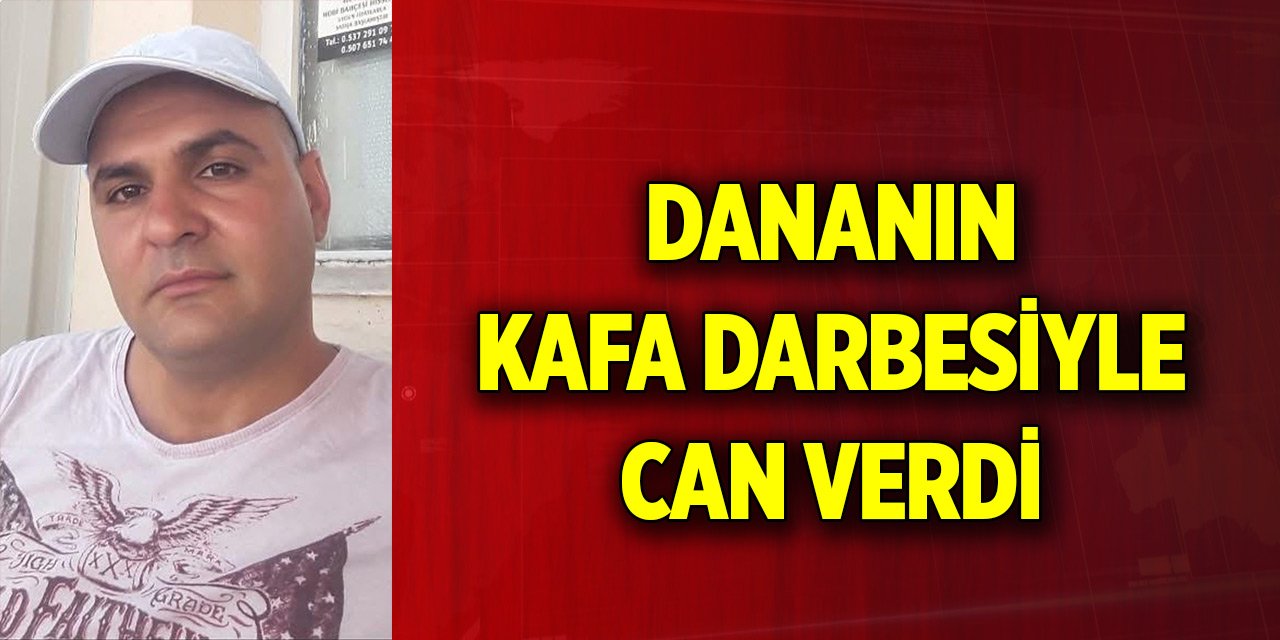 Dananın kafa darbesiyle ağır yaralanan sahibi hayatını kaybetti