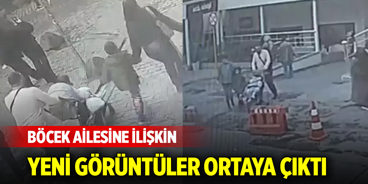 Zehirlenen Böcek ailesinin ölümü Türkiye'yi sarstı! Yeni görüntüler ortaya çıktı