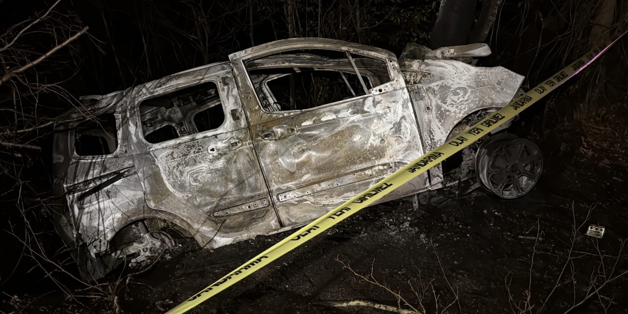 Ağaca çarpan hafif ticari aracın sürücüsü yanarak öldü