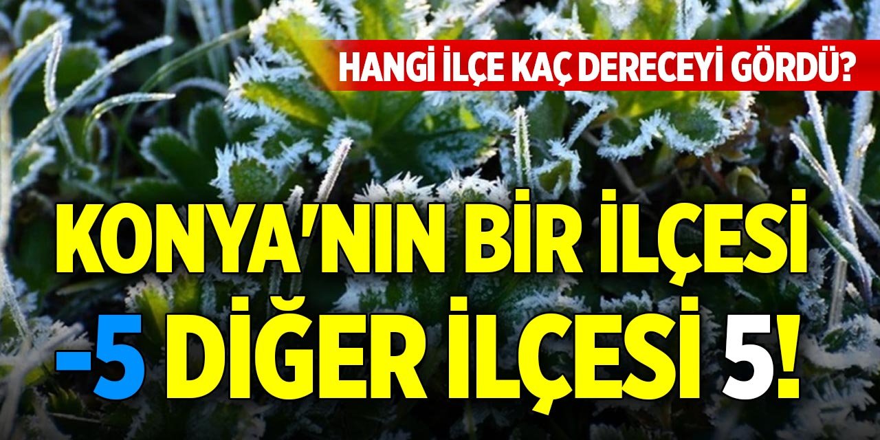 Konya'nın bir ilçesi -5 diğer ilçesi 5! Hangi ilçe kaç dereceyi gördü?