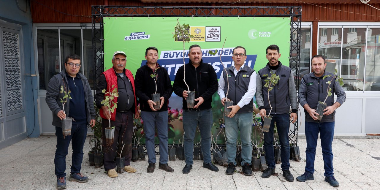 Konya'da Antep Fıstığı yaygınlaşıyor