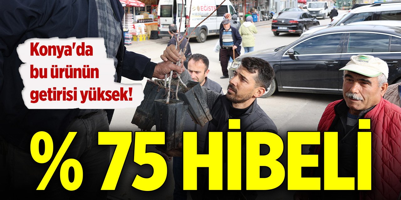 Konya'da bu ürünün getirisi yüksek! Yüzde 75 hibe desteği var