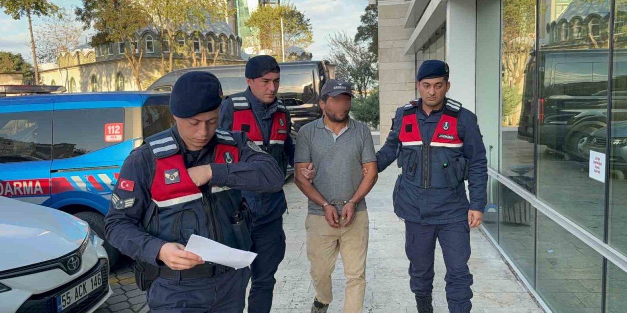 Ağaç kesimi sırasında komşusunun ölümüne sebep olan şahıs tutuklandı