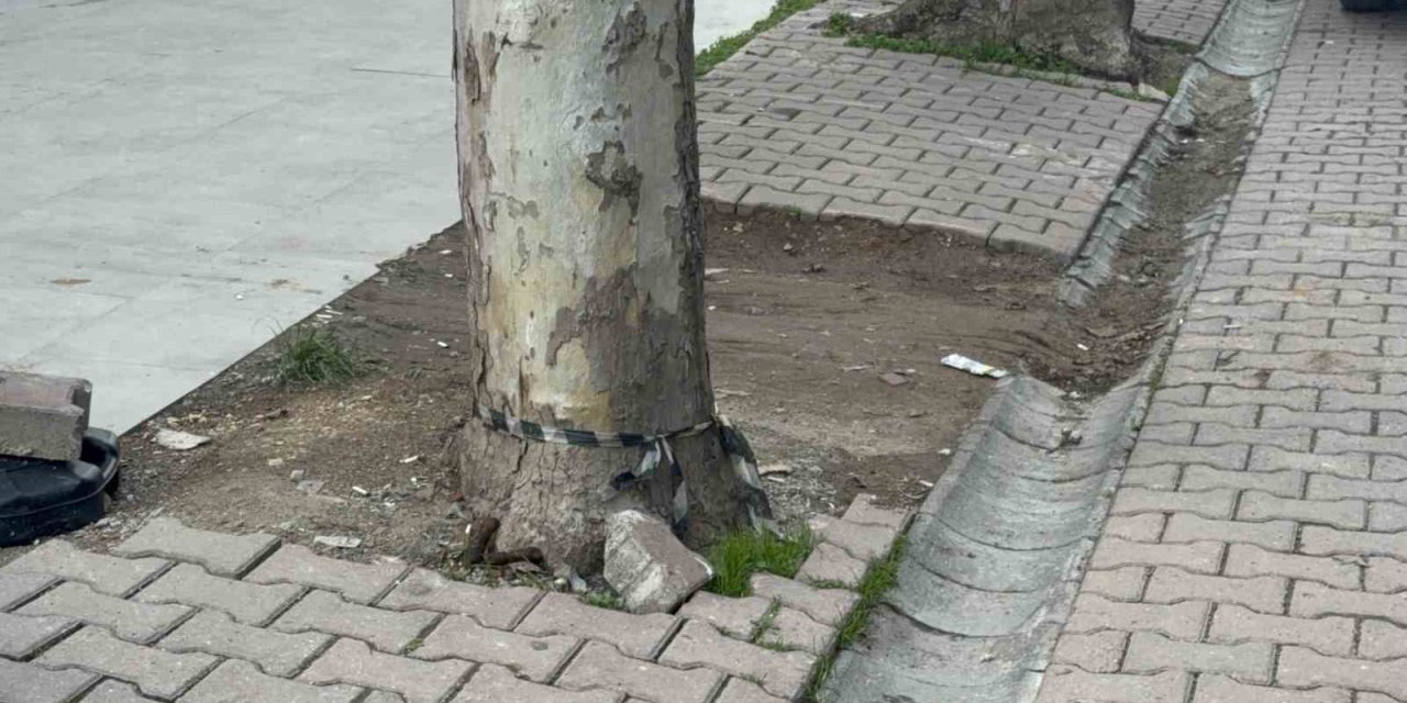 Çöpe atmak için yerden aldığı kargo poşetinin içinden 60 bin dolar çıktı