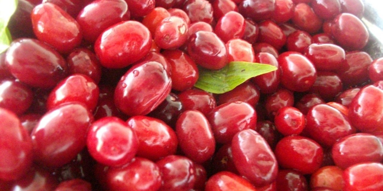 Soğuk algınlığına doğal çözüm