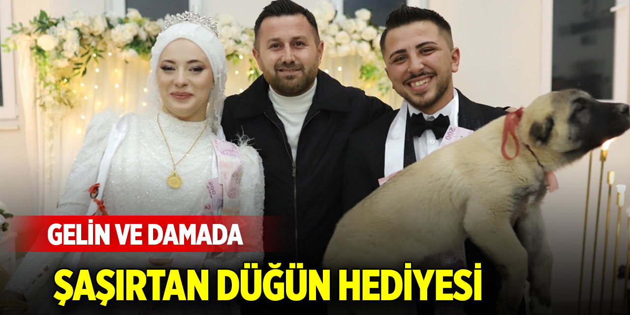Gelin ve damada şaşırtan düğün hediyesi!