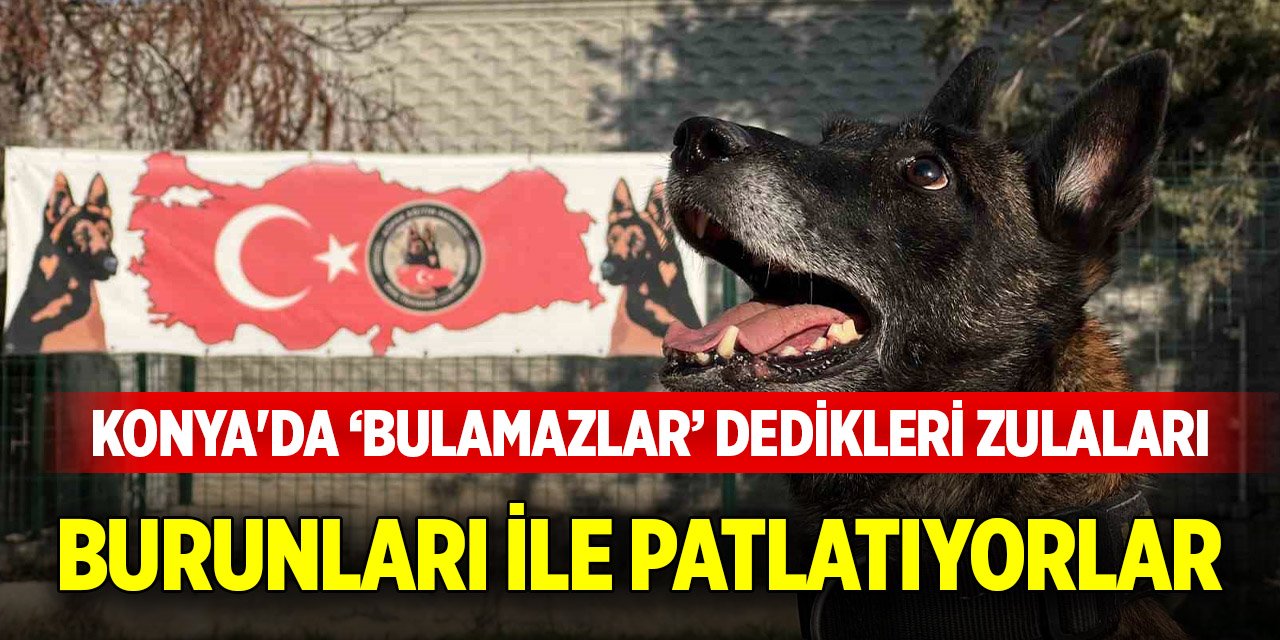 Konya'da ‘Bulamazlar’ dedikleri zulaları burunları ile patlatıyorlar