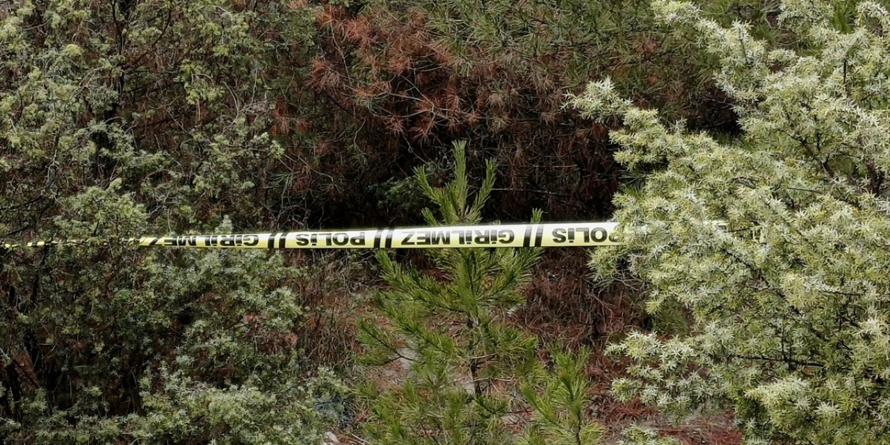 Kayıp kişi ormanlık alanda ölü bulundu