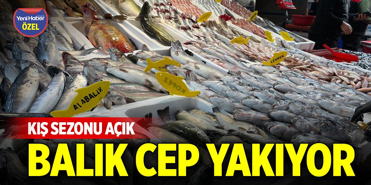Kış sezonu açık, balık cep yakıyor