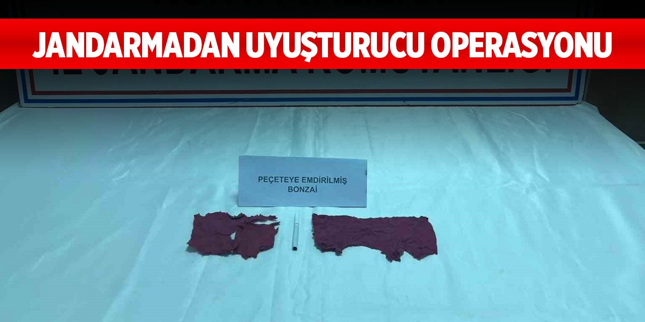Konya’da jandarmadan uyuşturucu operasyonu