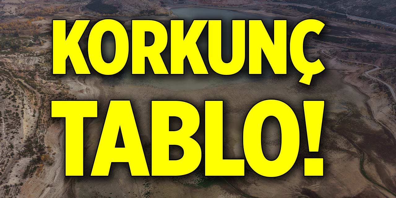 Korkunç tablo! "Çölleşmeye doğru gidiyor"