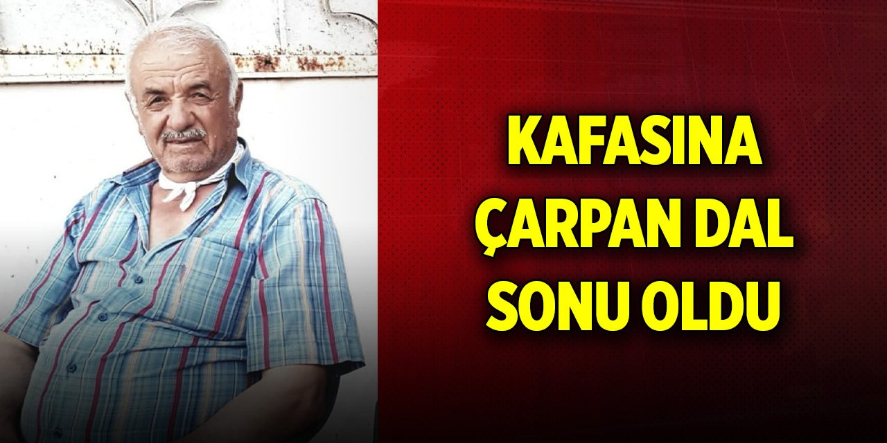 Kafasına çarpan ağacın dalı sonu oldu