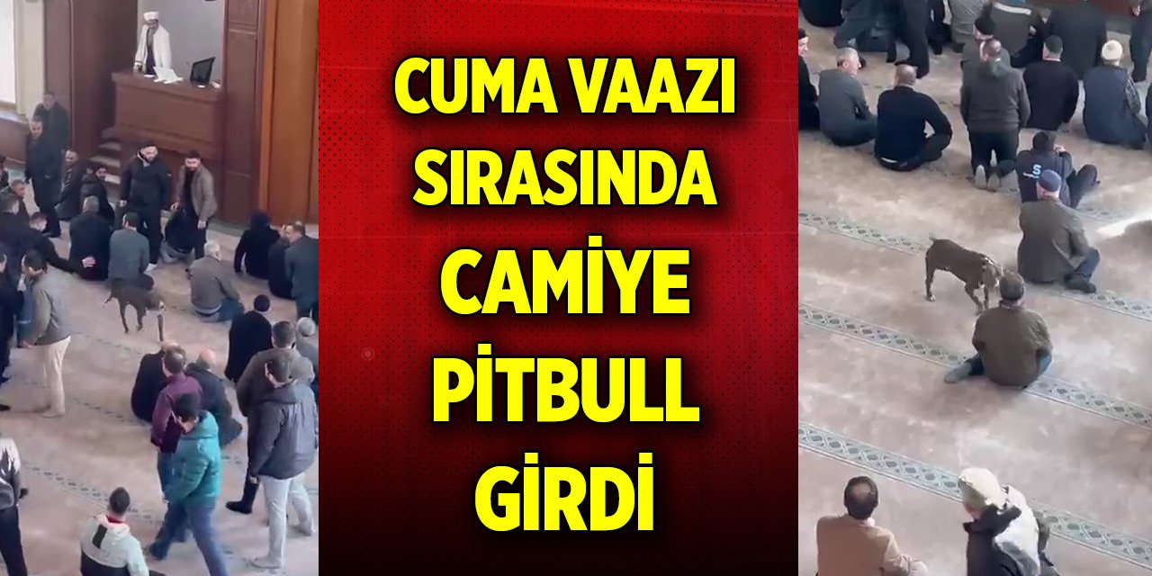 Cuma vaazı sırasında camiye pitbull girdi