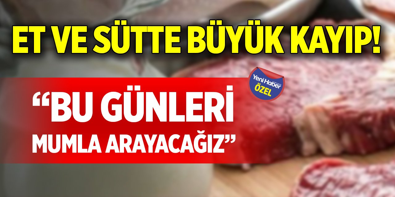 Et ve sütte büyük kayıp! “Bu günleri mumla arayacağız”
