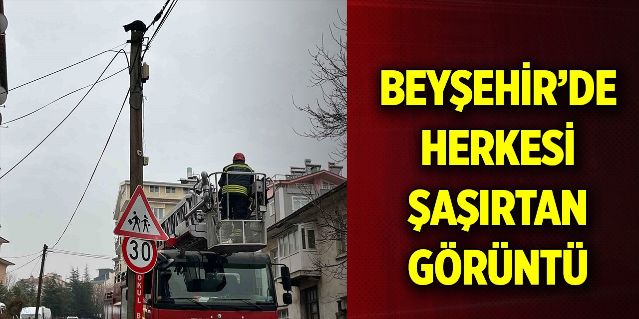 Beyşehir’de herkesi şaşırtan görüntü