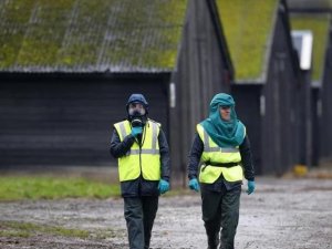 UK: ‘Mad cow’ disease found at Welsh farm