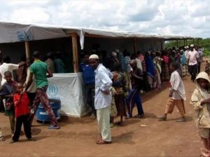 Nigeria: 9,000 refugees return home from Cameroon camps