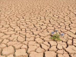 Ethiopia: Appeal for $1.4 billion in drought aid