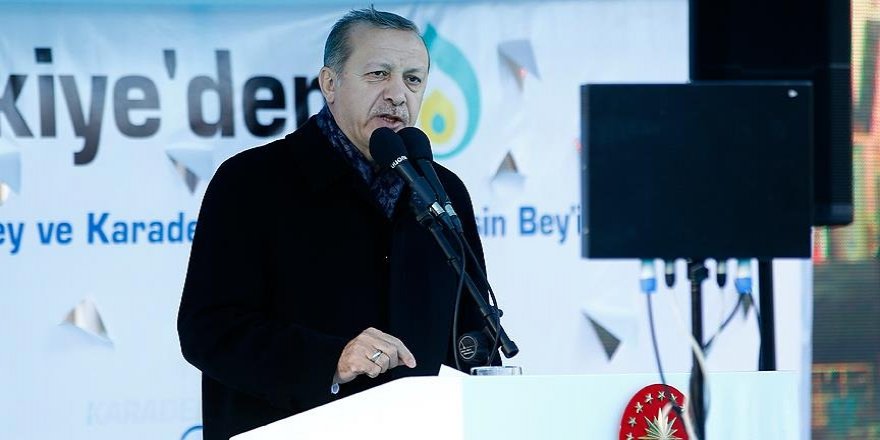 Erdogan calls on Turkish entrepreneurs to invest