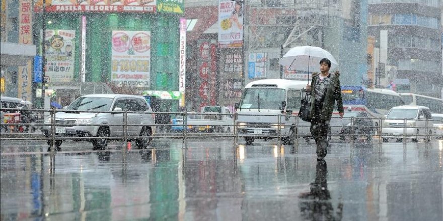 Tokyo sees first November snow accumulation since 1875