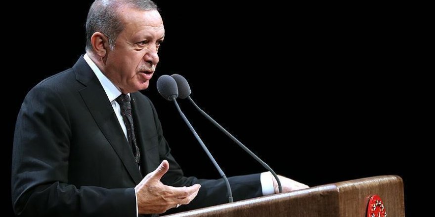 Erdogan says new 'Lawrences of Arabia' will not succeed