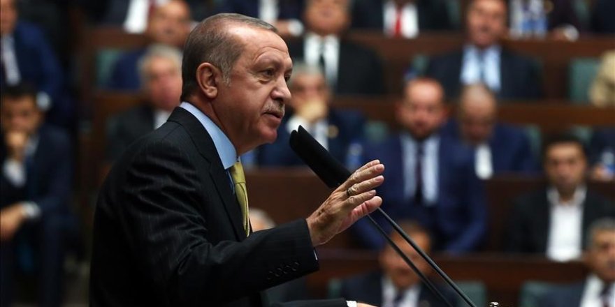 Syria, Iraq issues directly affect Turkey: Erdogan