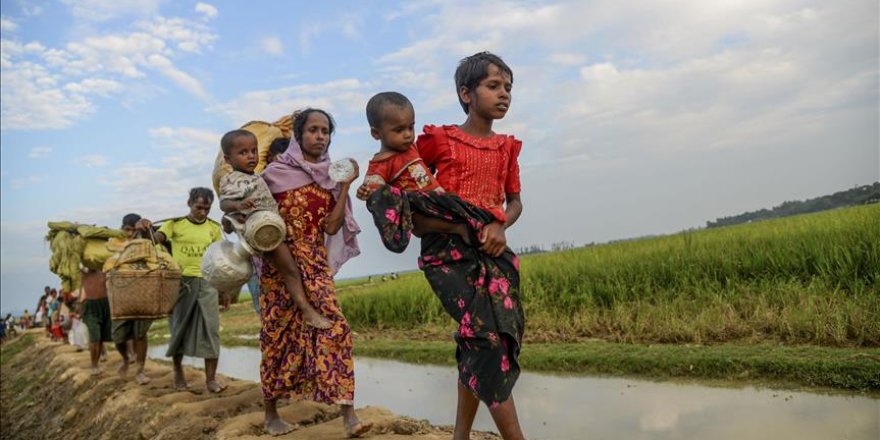 Rohingya facing 'apartheid' regime: Rights body