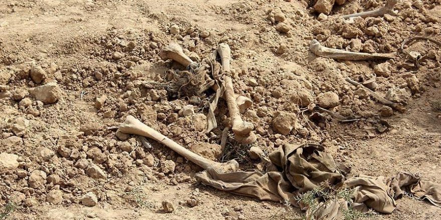 Iraqi forces uncover Ezidi mass grave in Sinjar