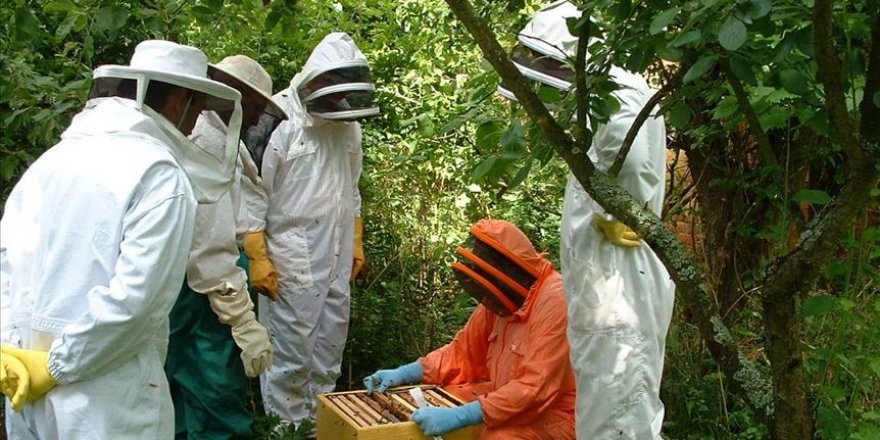 Turkish agency trains women beekeepers in Pakistan