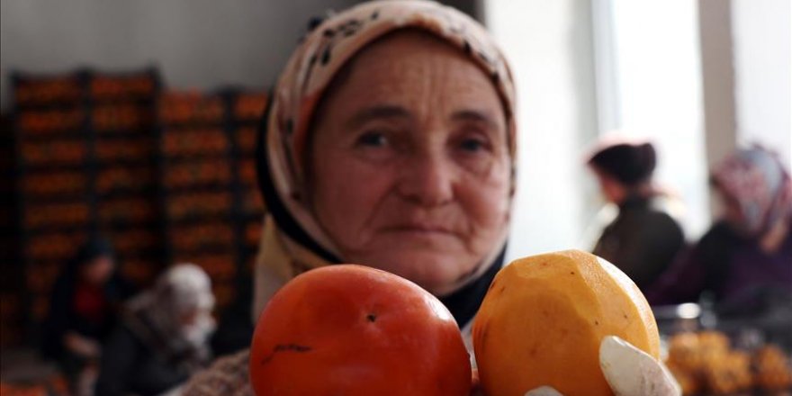 Turquie: Success story d'une femme grâce au kaki séché à Aydin