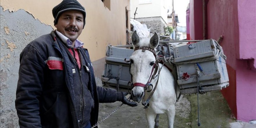 Mule and man forge friendship while rounding up rubbish