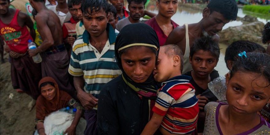 Rohingya atrocities could have amounted to 'genocide'