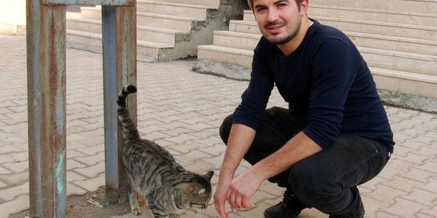 Lokantanın maskotu olan kedi, tavuklar için nöbet tutuyor