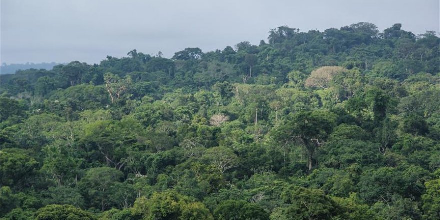 Brésil: Alerte sur le Cerrado