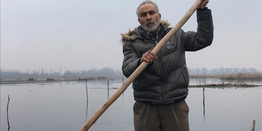 Kashmir's wetlands, migratory birds face uncertainty