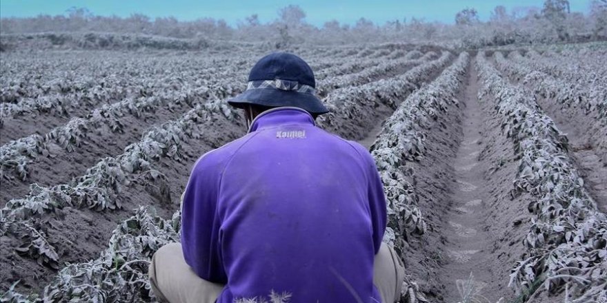 Côte d’Ivoire: Elever des vers de terre pour produire de l’engrais 100% bio