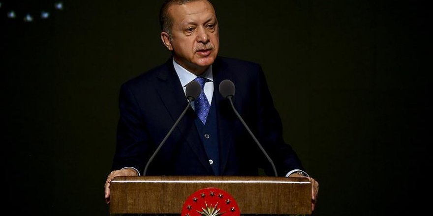 Erdogan: Turkey 'not occupying' Syria's Afrin