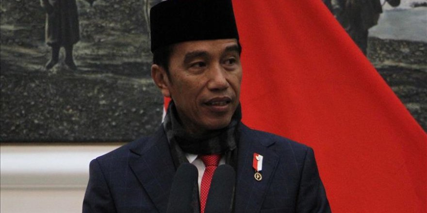 Indonesia: Ruling party backs Widodo for next president