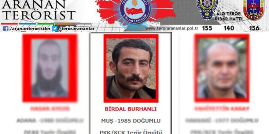 Turkish airstrike kills wanted PKK terrorist in Iraq