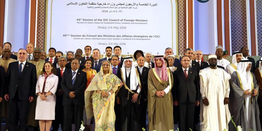 OIC expresses concern over Rohingya, Palestine issue