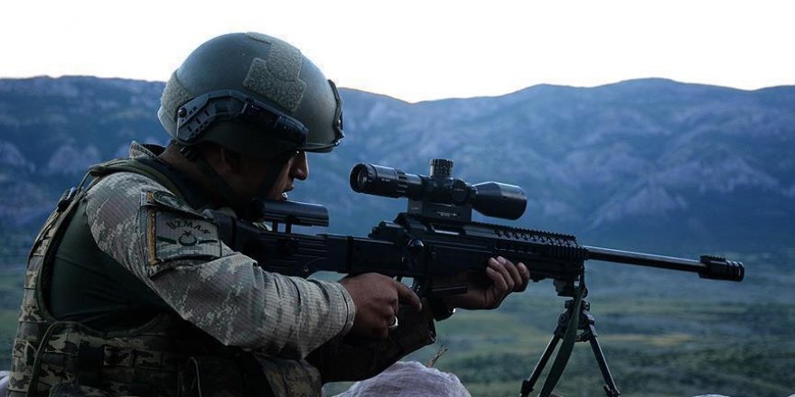 2 PKK terrorists neutralized in southeastern Turkey