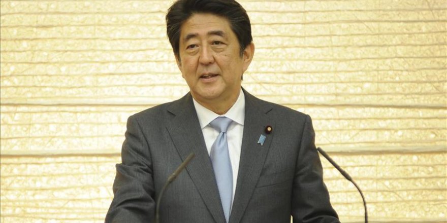 Japanese PM thanks Erdogan for saving reporter in Syria