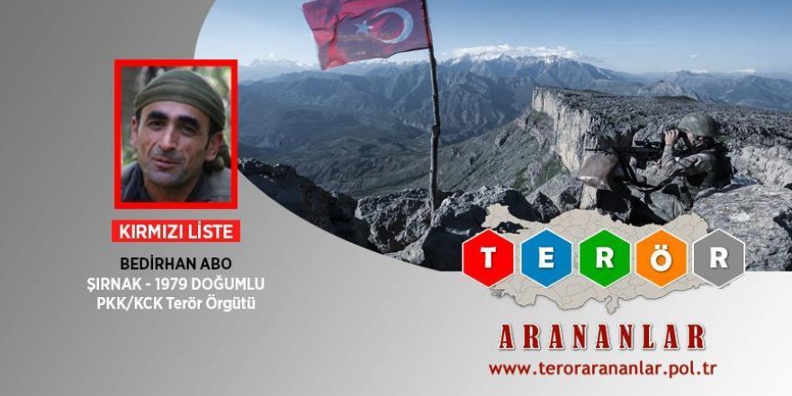 Turquie: Un terroriste du PKK sur liste rouge neutralisé