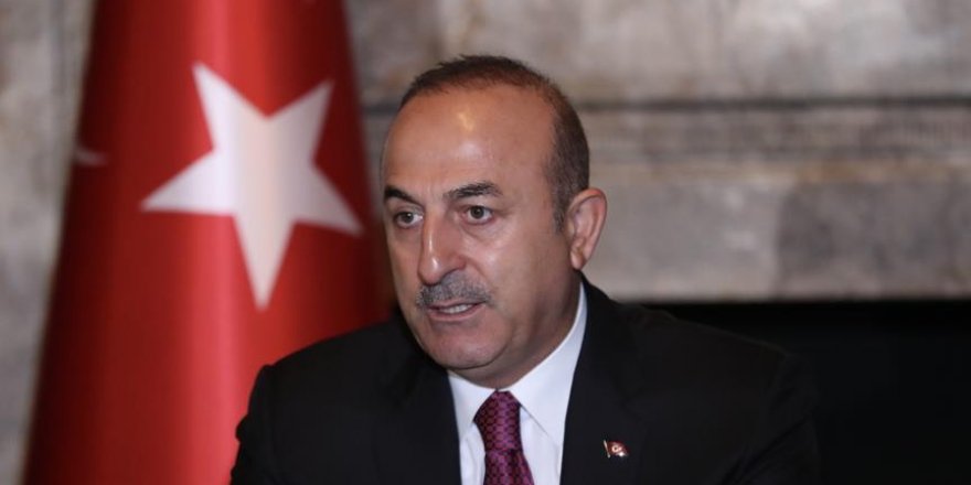 Turkish FM urges enterprising foreign policy for peace