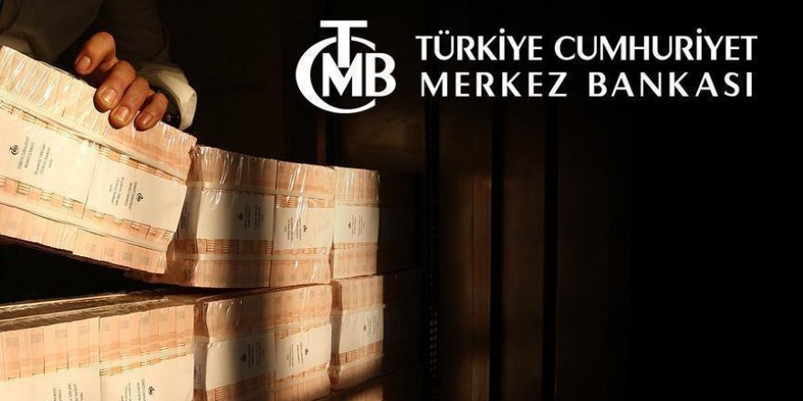 Turkey's Central Bank holds policy rate constant