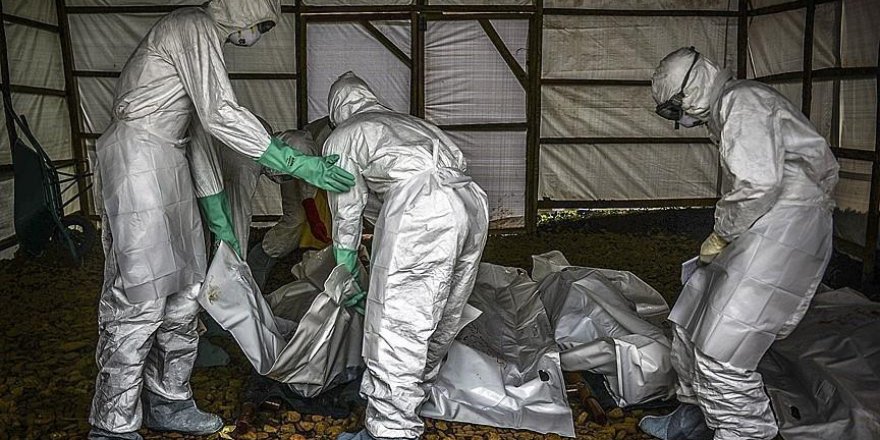 Death toll in DR Congo from Ebola rises to 271