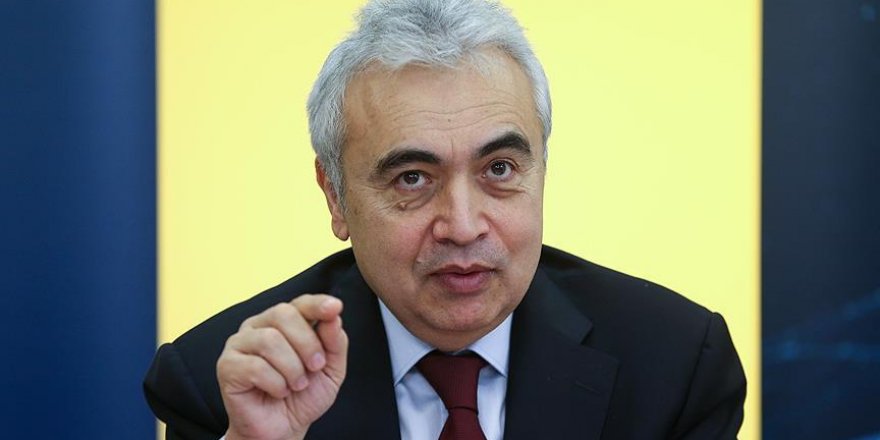 Turkey could export renewables to its region: IEA Head